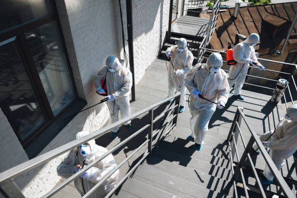 Best Comprehensive Air Testing for Mold Contaminants  in Urbandale, IA