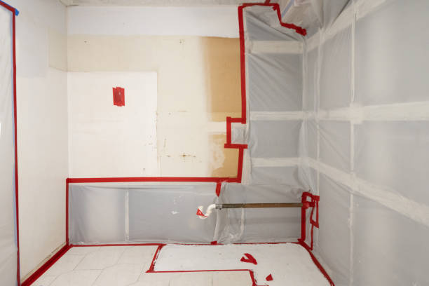 Urbandale, IA Mold Removal Company
