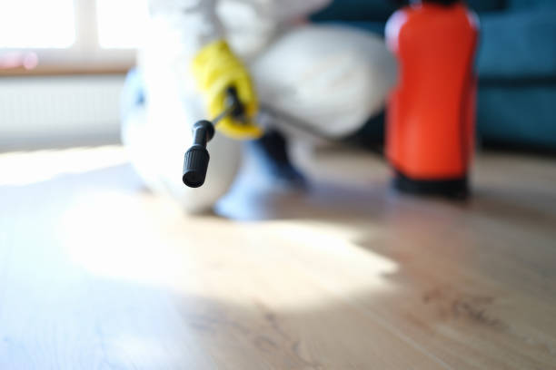 Best Industrial Mold Remediation  in Urbandale, IA