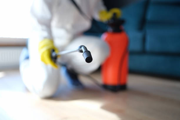 Best Airborne Mold Testing  in Urbandale, IA