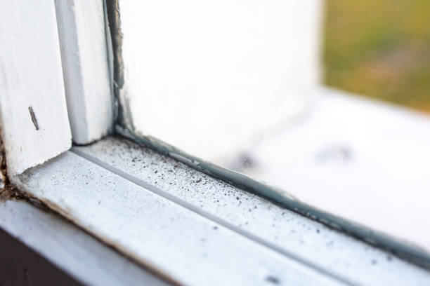 Best Mold Prevention Services  in Urbandale, IA